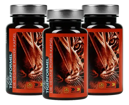 Tiger Formel — 3 Cans